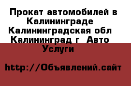 Прокат автомобилей в Калининграде - Калининградская обл., Калининград г. Авто » Услуги   